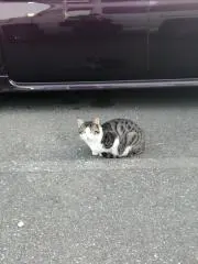 07の画像
