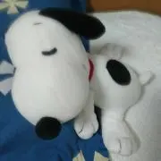 まぉの画像