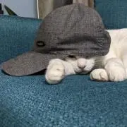 Mona Channelの画像