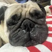 まーぼう　プロフィール必読！！の画像