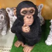 ごっちゃんの画像