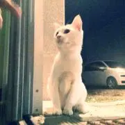 どんこ(プロフ読んでください)