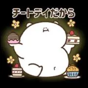 スペースデブリの画像