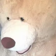 m☺︎︎の画像