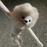 るぅの画像