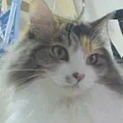 みぃな