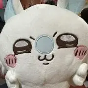 Fの画像