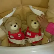 はんちゃん