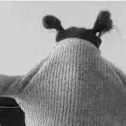 こりすの画像