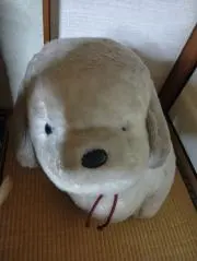 だんごころころ庭木の画像