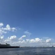 サトの画像