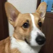 みーまま