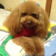 ひろっち