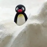 wowo yaoの画像