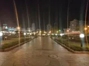 紫苑の画像