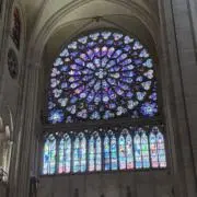 はるの画像