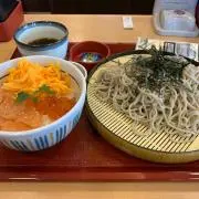 手塚の画像