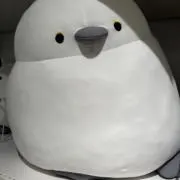けんさんの画像