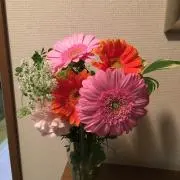 happyの画像