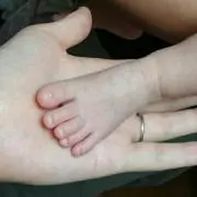 子持ち昆布の画像