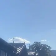 ☘️コンビニ払い不可・プロフ確認くださいの画像