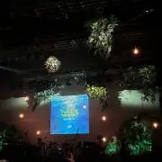 ウナの画像