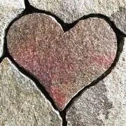 nobuの画像