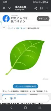 けい＠
