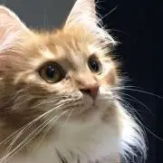 みなと