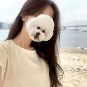 宮島の画像
