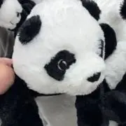 M   まとめ買い歓迎です❕の画像