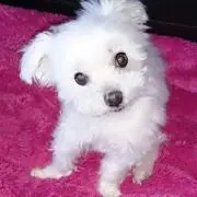 そら