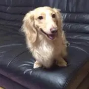 まっつ