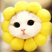 haの画像