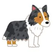 まよの画像