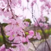 ういの画像