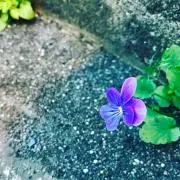 takochan/プロフ確認お願いしますの画像