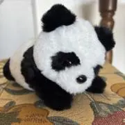 ちゃん⭐︎の画像