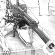 車力の画像