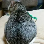 琉毅 プロフお読み下さい。の画像