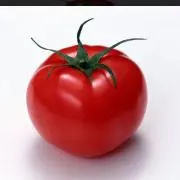 tomatoの画像