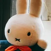 ko＊の画像