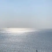 Nの画像