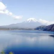 迅速発送　プロフ必読　冬物売り尽くしの画像