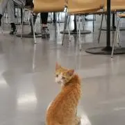 赤坂