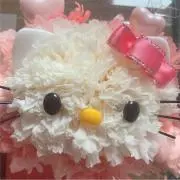 yuriの画像
