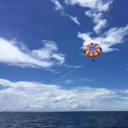 i.の画像