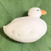 Blairの画像