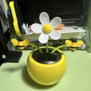 Butterflyの画像