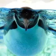 水脈